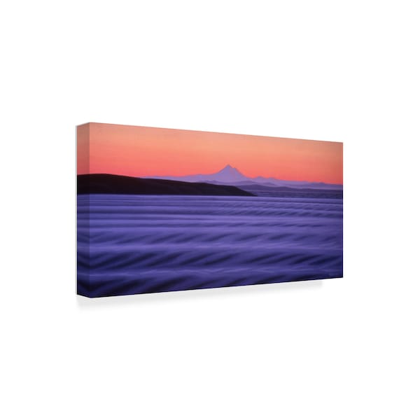 Ron Parker 'Oak Bay Dawn' Canvas Art,24x47